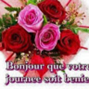 Meet your Posher, Ralph